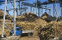 reu87_055 usine grand bois